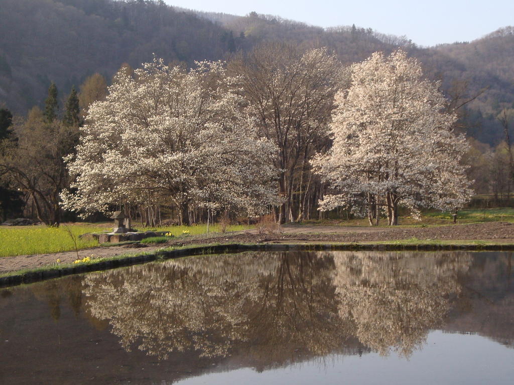 Hotel La Montagne Furuhata Hakuba Buitenkant foto